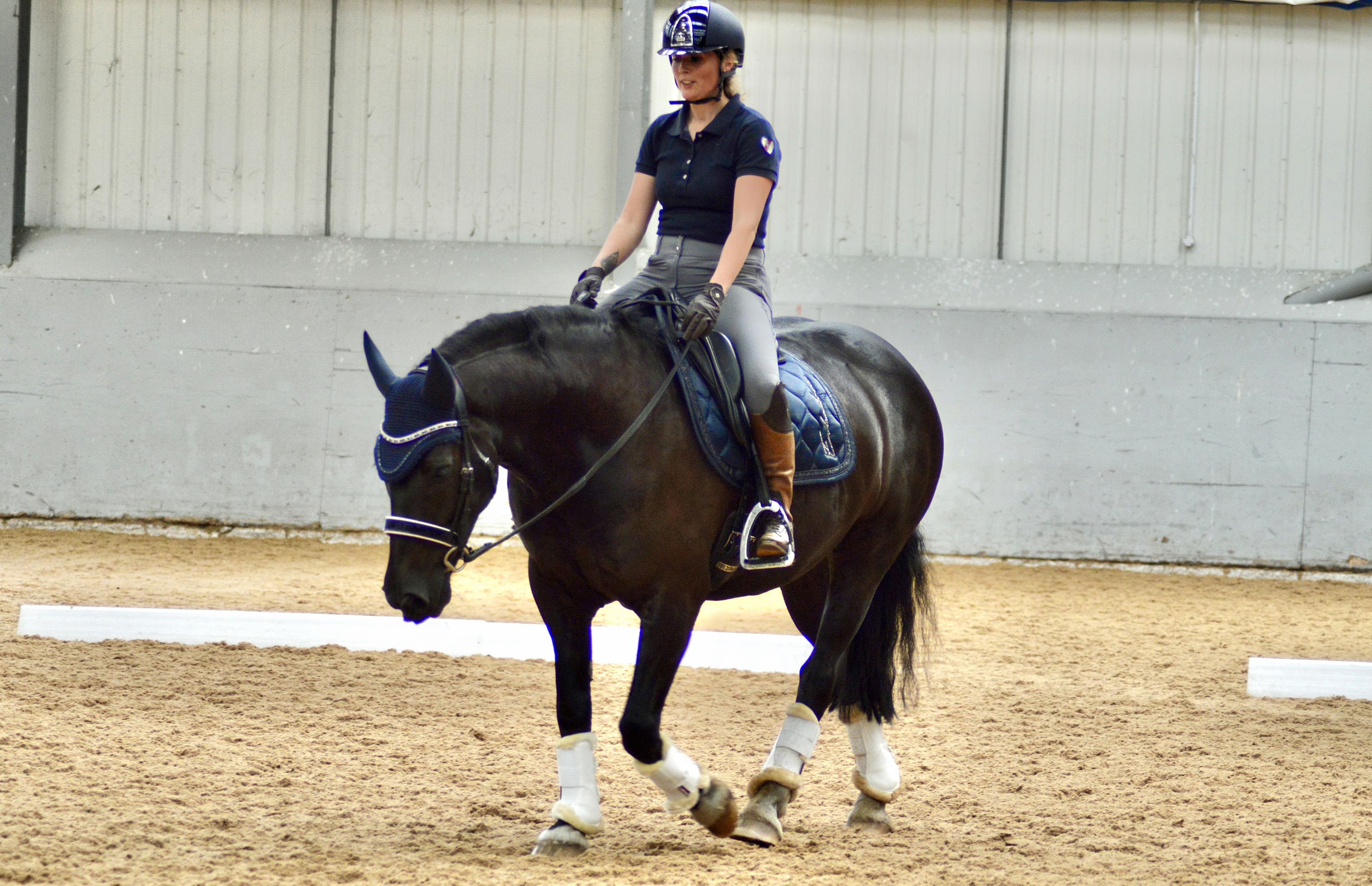 Building Topline With Functional Movement 