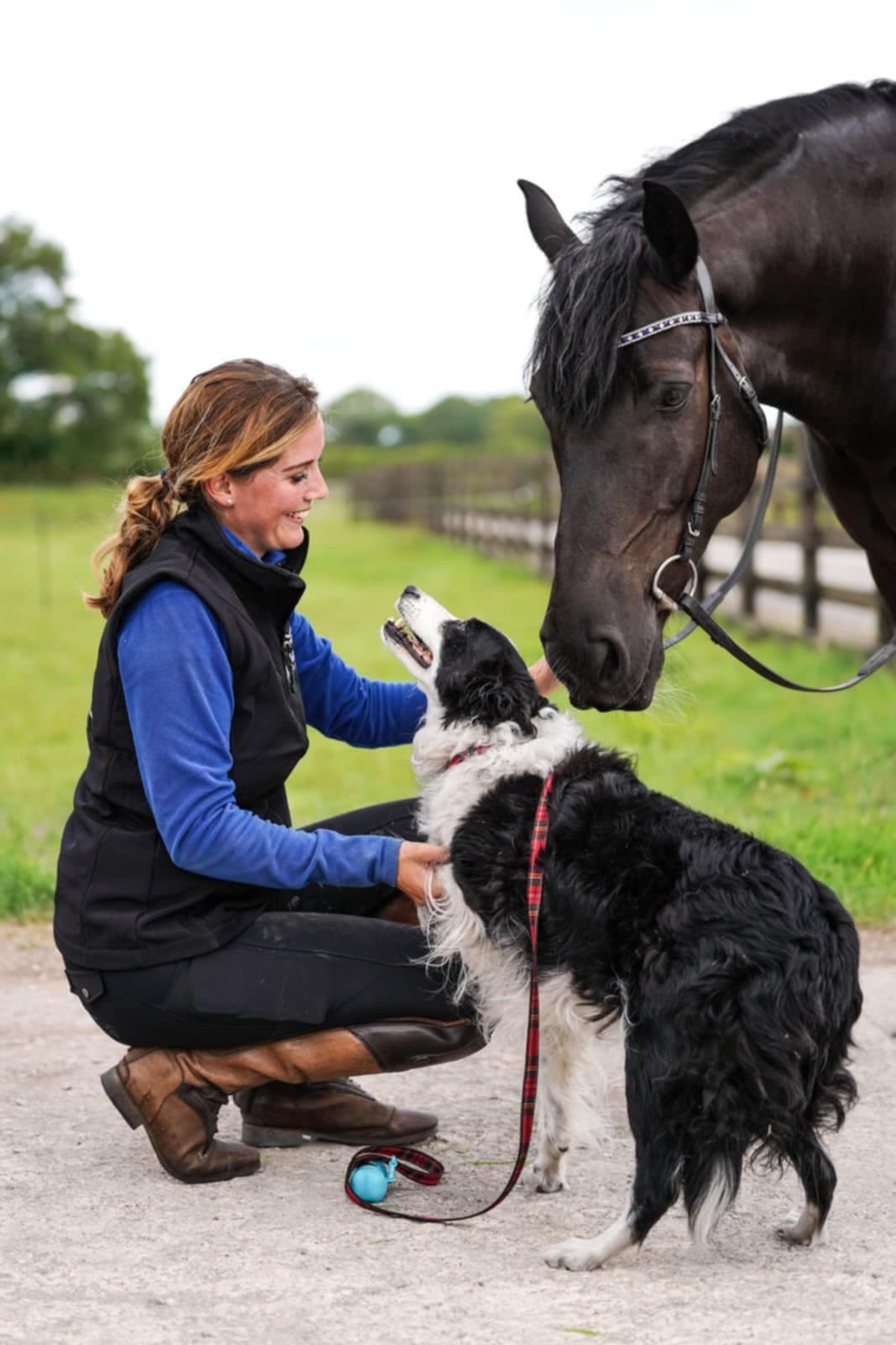 Rebecca with horse and dog