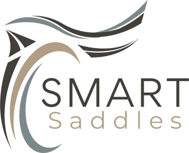 Smart Saddles